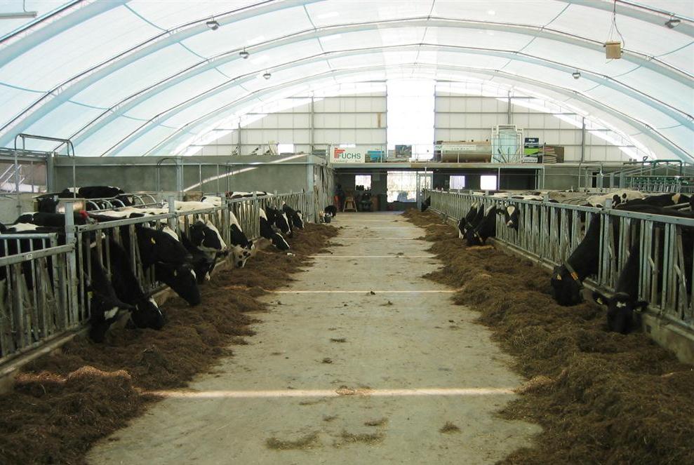 1 Introduction At the Eindhoven University of Technology a low-cost and flexible building system for dairy cattle has been developed in cooperation with a coalition of leading consultancy companies