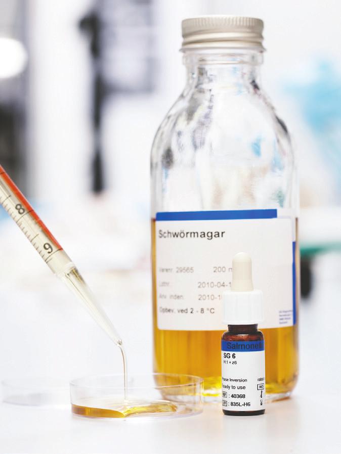 SSI Diagnostica swarm agar can be purchased in: 200 ml bottles (Schwörmagar art. no. 29565) 60 ml bottles (Schwörmagar, art. no. 82491) Procedure Day 1 Pour 10 ml swarm agar into a petri dish (6 cm in diameter).