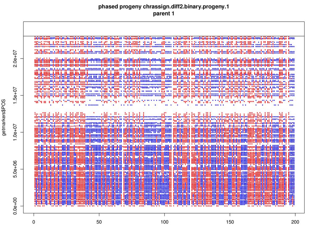 Physical position Dense maps from GBS data 4 way cross Chromosome 1 markers from male parent in a VitisGen family (phased) and ordered by physical position Progeny Number