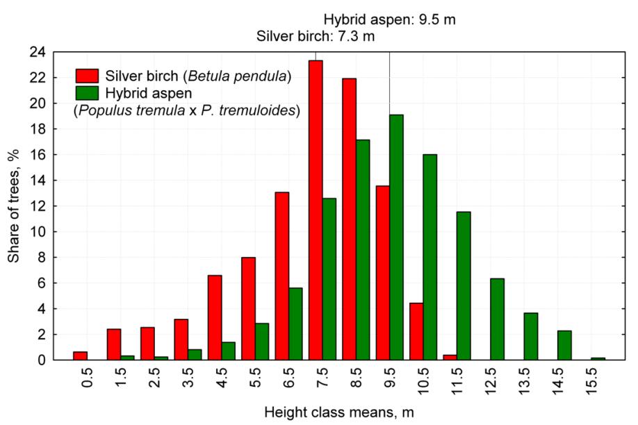 Distribution on trees into height classes in 9-yr-old Betula