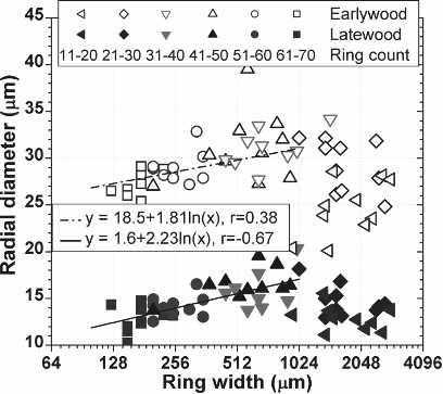 228 WOOD AND FIBER SCIENCE, APRIL 2008, V. 40(2) RESULTS AND DISCUSSION The effect of growth suppression on tree annual radial growth Ring width is a measure of the tree annual radial growth.