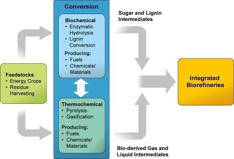 Biochemical Conversion Platform 3.