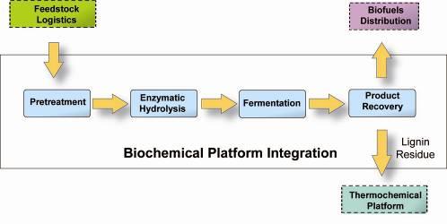 Biochemical Conversion Platform stream. The biomass sugars act as intermediate building blocks which are then fermented to ethanol and other products.