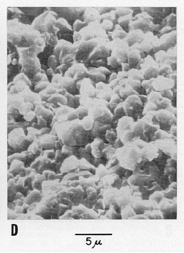 Pittman 1971 Micropores occur between calcite crystals Less than 1 micron diameter Visible with SEM Impact on
