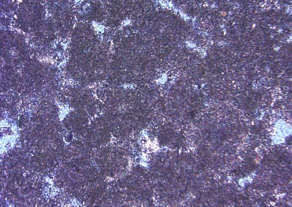Marzouk1995: micro-meso-macro pores Micrite (Calcite