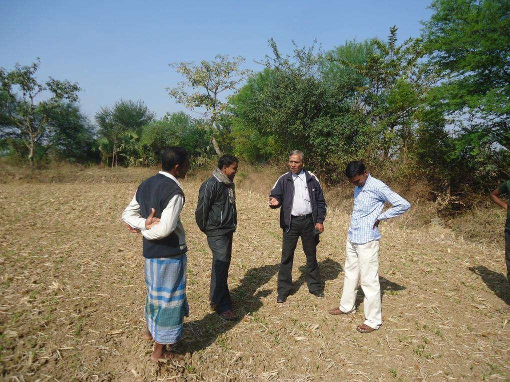 Pulses field visit Dr.