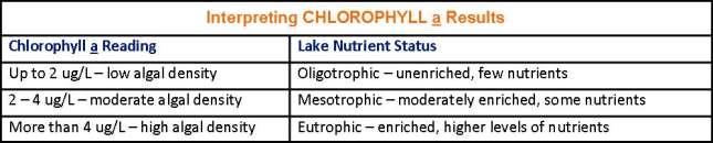 Chlorophyll a is directly affected by the amount of total phosphorus in your lake.