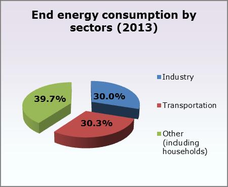 ENERGY SECTOR IN FIGURES 2014 This section is prepared on the basis of the Energy Balance for 2014,
