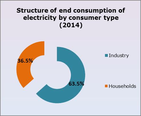 End consumption of electricity in the country in 2014 amounted to 29 TWh, which is by 1.5% more than in 2013, including industrial and the public sectors - 18.