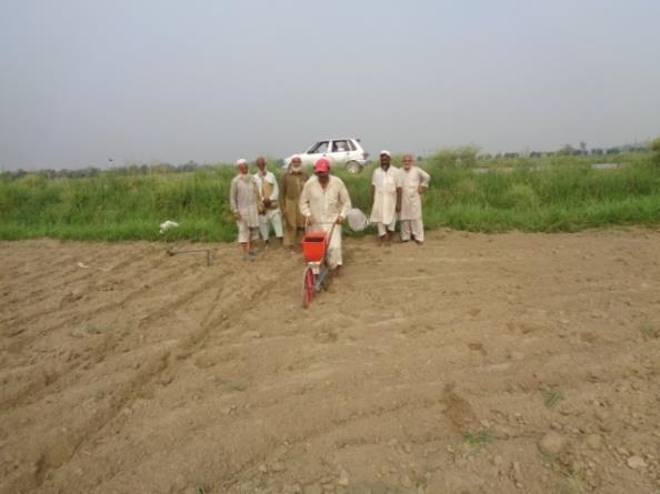 Fertilizer and seeding in one operation Nowshera, Mardan