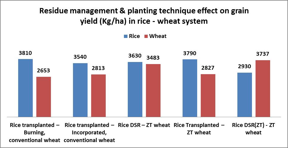 Evaluation of CA techniques in wheat