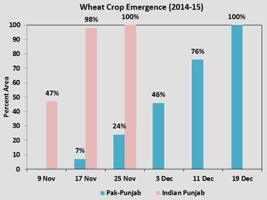 Issues in in wheat based systems Only 24% wheat in field before November 25 Decreasing irrigation water availability Higher prices of input and