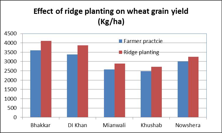 Ridge planting of wheat (73 sites) Issue: water shortage during wheat season Benefits: 30% Saving in water 10-15% better yield than conventional: (RS.