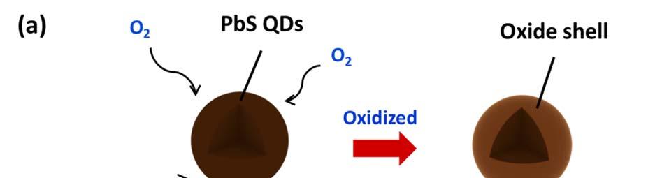 Figure S10. The oxidation progress in PbS QDs is indicated in (a). The outer surface of the PbS QDs is converted to oxide compounds, which results in light absorption loss and decreasing size of QDs.