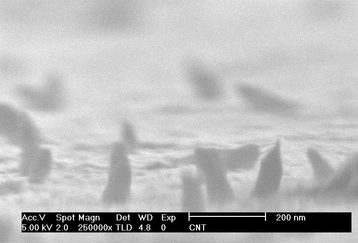 Fig 8S. Typical scanning electron micrograph of vertically assembled SWCNTs. References (1) Nicholson, R. S.; Shain, I. Theory of Stationary Electrode Polarography.