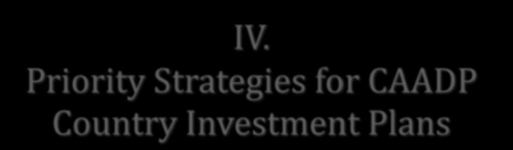 IV. Priority Strategies for