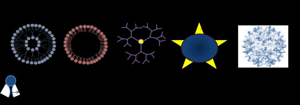 2. The functional components of Nanoparticles 2.1.