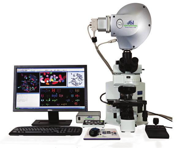 The GenASIs Cytogenetics Suite GenASIs Capture & Analysis GenASIs Scan & Analysis High Throughput Scanning GenASIs Analysis & Review GenASIs HyperSpectral