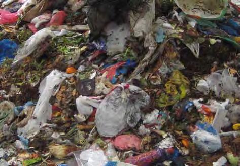 separate collection of plastics, paper, glass and metals are offered and implemented to a certain extent both in Greece, Cyprus and Poland, the remaining municipal solid waste may be seen as a source
