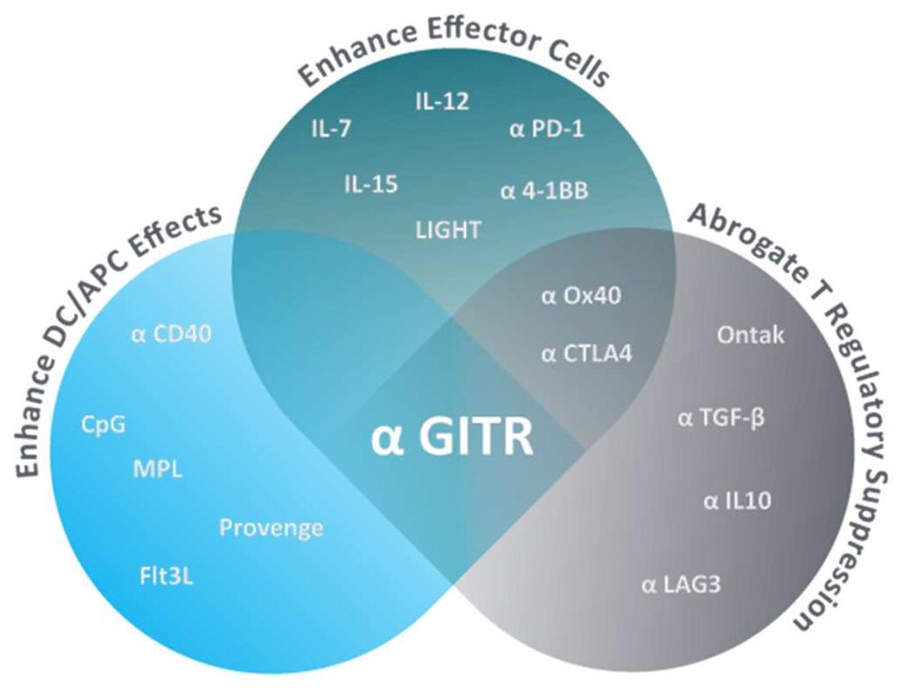 Ablynx s anti-gitr Nanobody programme Target background GITR is a member of the TNF receptor super family expressed on multiple
