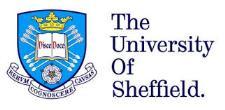Professor Neil Hyatt, Nuclear Decommissioning Authority Research Chair in Radioactive Waste Management, University of Sheffield Neil is Professor of Radioactive Waste Management at the University of