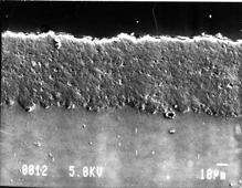 (b) AlN-3%Al 1 m 12 1 8 6 4 2 1 m Fig. 4 Surface appearance of Type-F coatings after wear test.