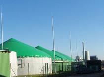 Biogas can be used directly for thermal processes, can be conditioned to be sold as natural gas or electrified.