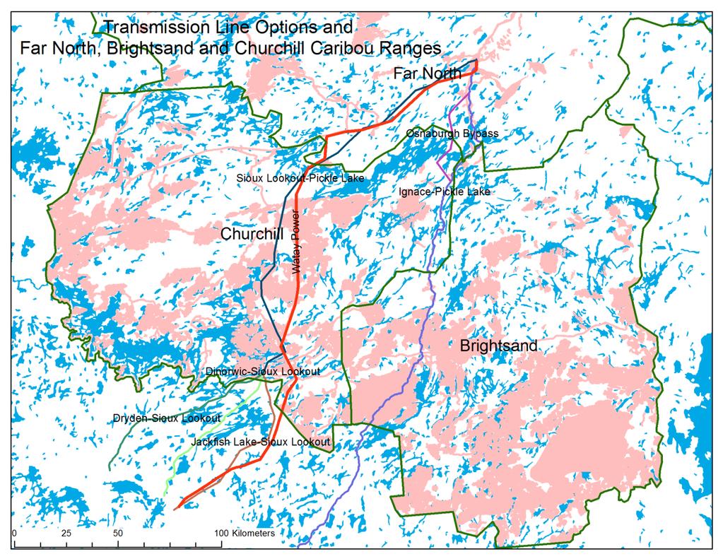 Figure 1: The preferred transmission line routes mapped onto the affected ranges in Ontario. The pink areas represent disturbance (fire and anthropogenic disturbance).