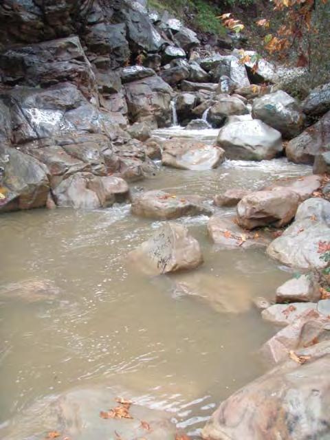 Creek downstream of quarry and lower settling