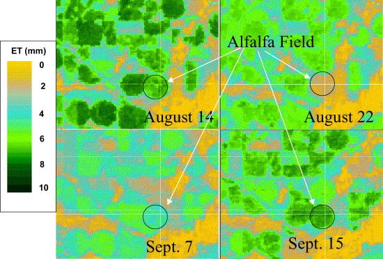 Remote Sensing of agricultural activity Landsat, MODIS Information on crop acreage,