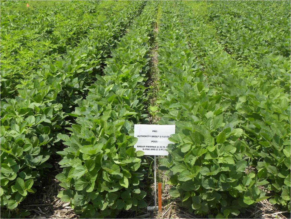 Soybean Insect Control 2 lb EC Formulation Active Ingredient : bifenthrin & imidacloprid Signal Word WARNING REI 12 hours Application rates: Soybean: 3.8-6.1 oz/a (0.06 0.