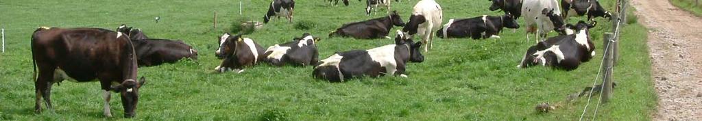 Study farms/farmers Mean (SD) Min. Max. Milk yield (l/cow/day) 21.6 (4.0) 9.0 33.0 Concentrates (tonnes/cow/year) 0.9 (0.5) 0.0 3.0 Winter housing period (no.