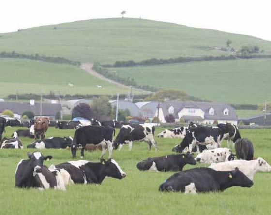 Acknowledgements Respondents Dairy farmers