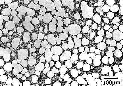 and (d) centre of the sheared specimen. 3.2 Microstructures of liquidus cast AZ91D billets The encouraging results obtained from the model Sn-15 wt.