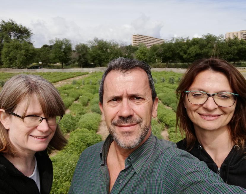 Kirstin Bett from the University of Saskatchewan works with international pulse crop specialists Diego Rubiales and Eleonora Barilli from the Instituto de Agricultura Sostenible based in Cordoba,