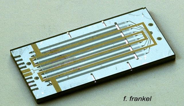 Chip design for gas-liquid