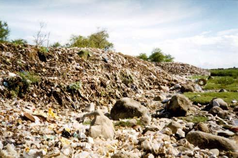 Butwal's Dumping Site