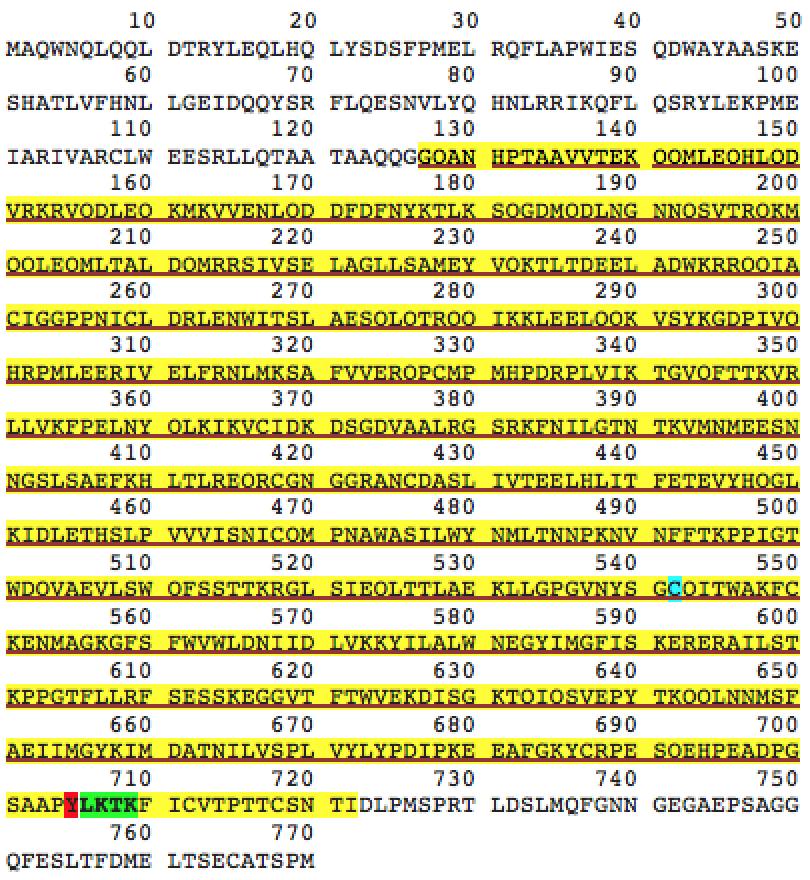 LKTK sequence (residues 706-709), which was used in phosphopeptide design (green) cysteine 542, mutated to serine in C542S 688s protein (blue) Figure 3: Amino acid sequence of the human STAT3
