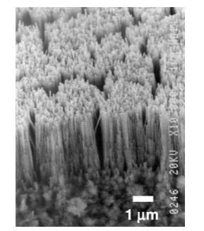 Nanohole alumina (Al 2 O 3 ): 4 times x-ray enhancement in the water window region over planar aluminum 45-500 fs 3 10 17 W/cm 2 Chakravarty, U., et al.