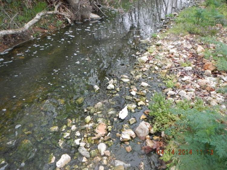 Algae/slime in Otter Creek downstream of Outfall 001.
