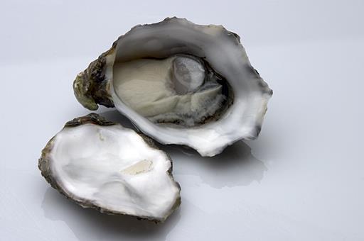 Australian oyster industry
