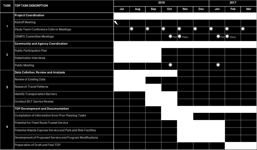 nine-month project schedule to