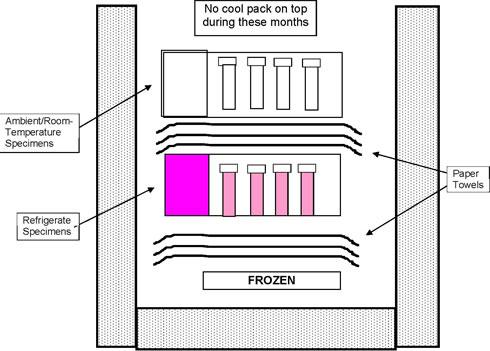 Refrigerate Shipping Container April through October Diagram 1b Frozen cool pack helps keep specimens from becoming too warm Reminder Do not use dry ice to freeze the cool pack; if dry ice is your