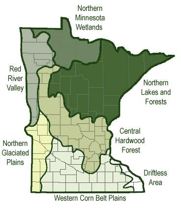 Ecoregion Comparisons Minnesota is divided into 7 ecoregions based on land use, vegetation, precipitation and geology (Figure 12).