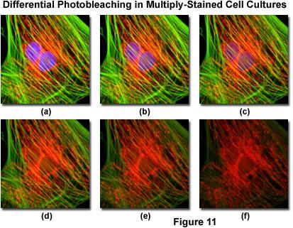 increased photostability Improved water
