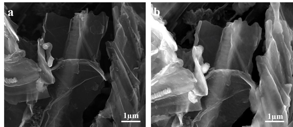 Fig. S5 SEM images of the NGSCW
