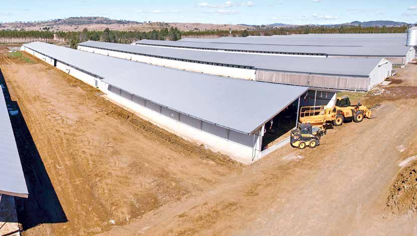 THE CHICKEN GROWERS CHOICE SANTREV IS THE COMPANY AUSTRALIAN CHICKEN GROWERS CHOOSE FOR COMMERCIAL AND FREE RANGE POULTRY HOUSING Our quality products are so well regarded that we are now exporting