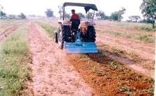 Bed-furrow formers: Though animal drawn bed furrow formers are available, their efficiency is very less. The tractor drawn be-furrow former is capable of forming alternate beds and channels.