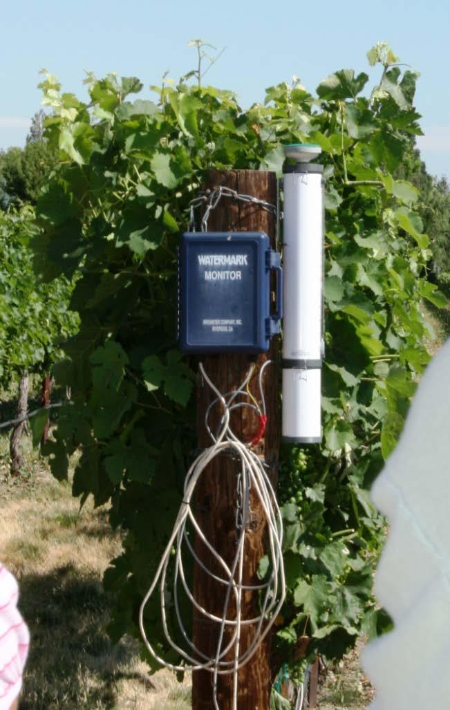 Irrigation Irrigation must be applied according to need (vine symptoms, ET data, etc.