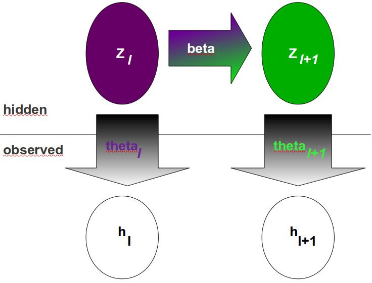 Hidden Markov Model z il cluster of haplotype i at SNP l (hidden